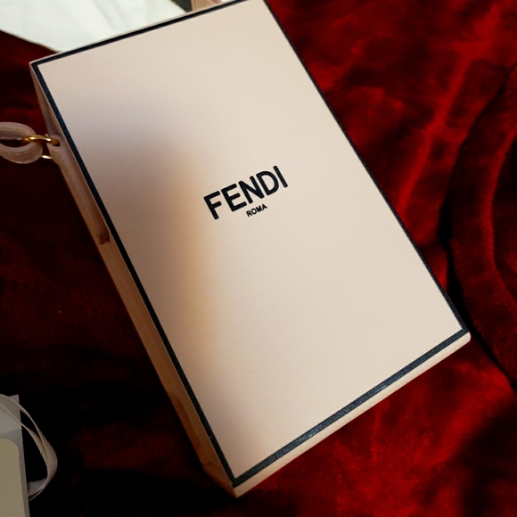 FENDI Bag Runway 2020-2021 Spring collection - vertical leather pink box bag - Picture 5 of 16